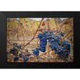 thumbnail image 2 of Susan Vizvary Photography 14x11 Black Modern Framed Museum Art Print Titled - Grapes on a Vine, 2 of 5