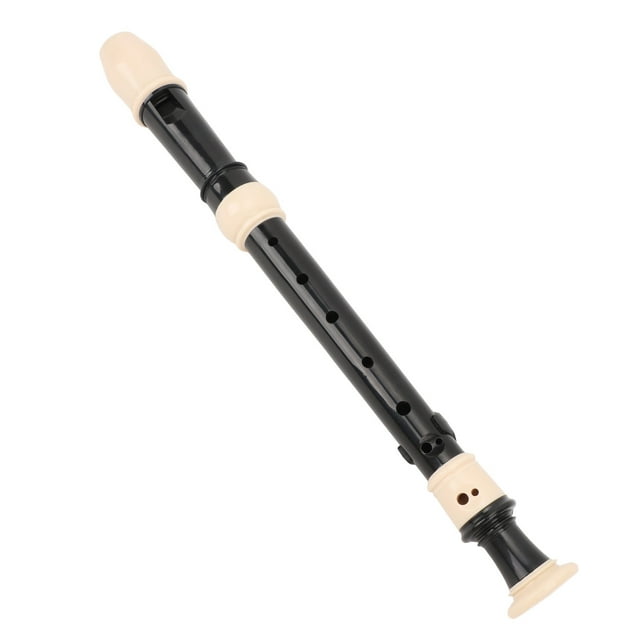 Detachable 8 Hole Soprano Recorder, Exquisite Craftsmanship, Professional German Style C Key RecorderABS Material with Protective Case for Beginners, Kids