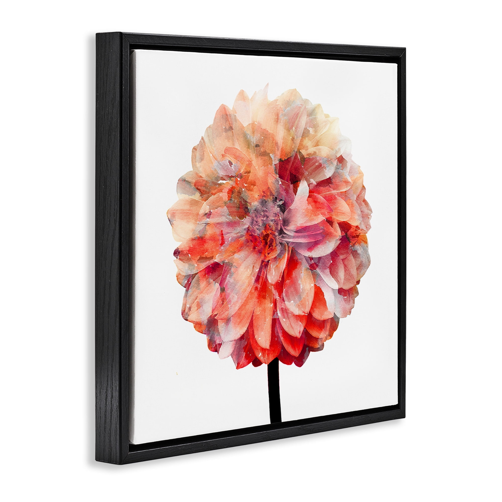 Stupell Industries Bright Coral Watercolor Bloom Botanical & Floral Painting Black Floater Framed Canvas Art Print Wall Art, 25 x 25