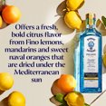 thumbnail image 2 of Bombay Sapphire Premier Cru Murcian Lemon Gin - 700 mL Blue Bottle, 2 of 7