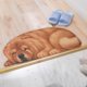 thumbnail image 5 of 3D Cute Pet Dog Themed Carpet,Welcome Floor Doormat 34.25x15.74in Non Slip Floor Mat Summer Holiday Funny Novelty Door Mats Indoor Outdoor Decor, 5 of 8