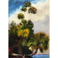 thumbnail image 3 of Homer, Winslow 11x14 Black Modern Framed Museum Art Print Titled - Palm Trees Florida, 3 of 5