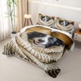 thumbnail image 3 of Homewish Cute Collie Dog Twin Quilt Set,Pet Lover Twin Coverlet Set,Cream,2 Pieces, 3 of 7