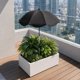 thumbnail image 5 of MTBLYS Sombrilla para plantas de exterior | Protección solar ajustable | 65 cm de diámetro | Sombrilla de jardín para macetas | Cubierta de sombra para plantas en maceta | Maceta, 5 of 7