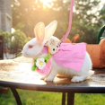thumbnail image 4 of Small Animal Pet Dress and Vest Harness Leash Set for Rabbits, Chinchillas, Squirrels or Small Pets, 4 of 5
