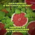 thumbnail image 3 of AXE Infinite Grapefruit & Patchouli Body Spray, Body Spray 113 g, 3 of 5