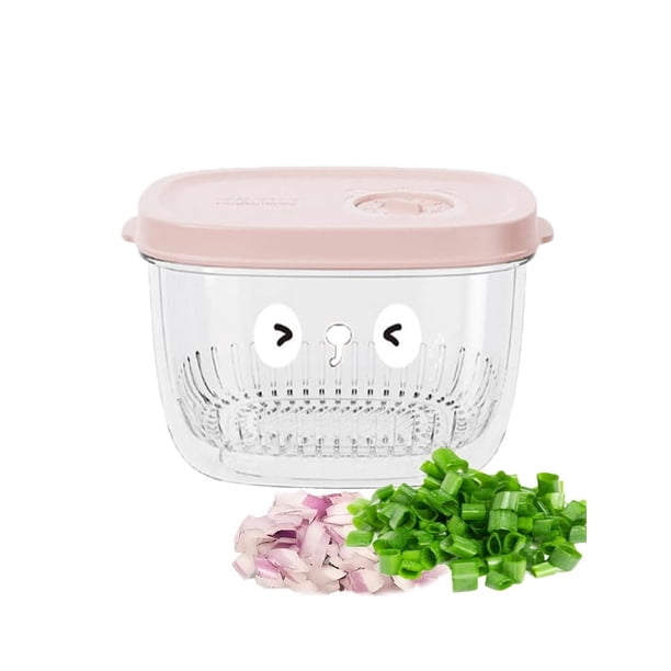 Caja de almacenamiento de chalotes, jengibre y ajo para el refrigerador. Chalotes verdes de calidad alimentaria especiales. Caja para mantener frescos los vegetales. Preparación de vegetales. Drenaje