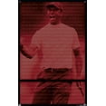 thumbnail image 4 of Tiger Woods - Victories Wall Poster with Pushpins, 22.375" x 34", 4 of 6