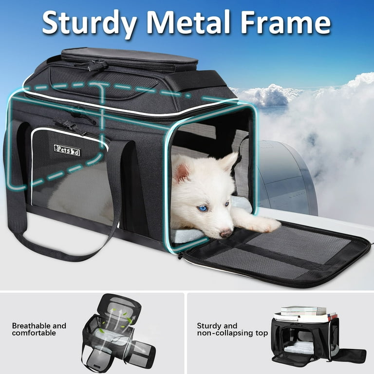 Pnimaund Cat Carrier Large Pet Carrier Soft Dog Carrier with Lockable  Zippers [2023New] Cat Carriers for Medium Large Cats Under 25 Lbs  Collapsible Pet Travel Carrier-Blue 