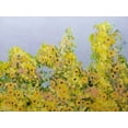 thumbnail image 2 of Friedlander, Allan 24x19 White Modern Wood Framed Museum Art Print Titled - Clinging Vines, 2 of 4