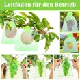 thumbnail image 4 of Bolsas protectoras para uvas, bolsas protectoras para uvas con cordón, 20 unidades, 20 x 30 cm, bolsas protectoras para frutas, bolsas de organza, red para uvas, bolsas de organza con cordón,, 4 of 8