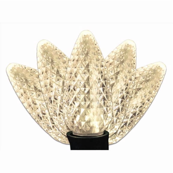 Celebrations Platinum LED C9 Warm White 25 ct String Christmas Lights 25 ft.