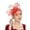 RD1, variant on Women's Headwear Bride Hair Accessories Wedding Bow Top Hat Flower Photo Net Headband, Green
