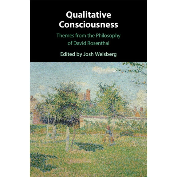 Qualitative Consciousness, (Paperback)