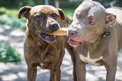 Devil Dog Pet Co Himalayan Yak Cheese Dog Chews for Aggressive Chewers, Large, 3 Pack