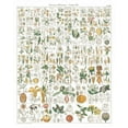 thumbnail image 2 of Wild Apple Portfolio 20x24 White Modern Wood Framed Museum Art Print Titled - Flora Chart I White, 2 of 4