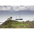 thumbnail image 2 of Sheep Enjoying The View  Scotland Poster Print, 2 of 2