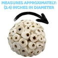 thumbnail image 2 of 5111 Pk2 Small Sola Ball Mandarin Bird Toys by M&M, 2 of 7