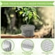 thumbnail image 4 of Plant Root Guard Baskets Wire Basket Mole and Vole Mesh Wire Baskets for Garden Pots Underground Ro, 4 of 5