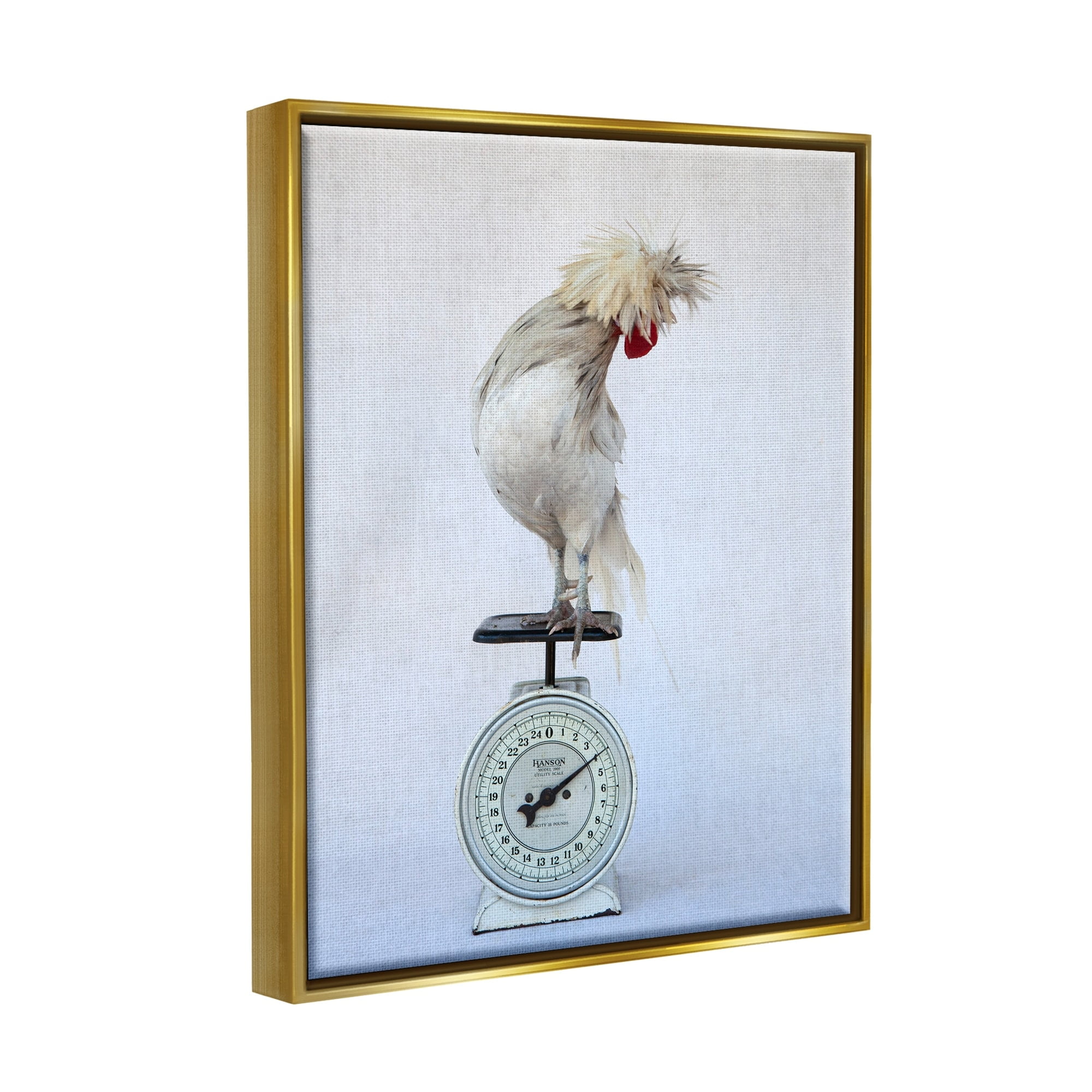 Stupell Industries White Bird Standing Vintage Kitchen Scale Photography Photograph Metallic Gold Floating Framed Canvas Print Wall Art, Design by Tania Soderman