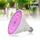 thumbnail image 2 of Full Spectrum Led Grow Light, 290 Beads E27 Bombilla para plantas de interior, verduras, flores, hidroponía, 30w, 2 of 5