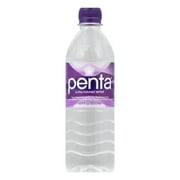 Angle View: Penta Water Water, 16.9 OZ (Pack of 24)
