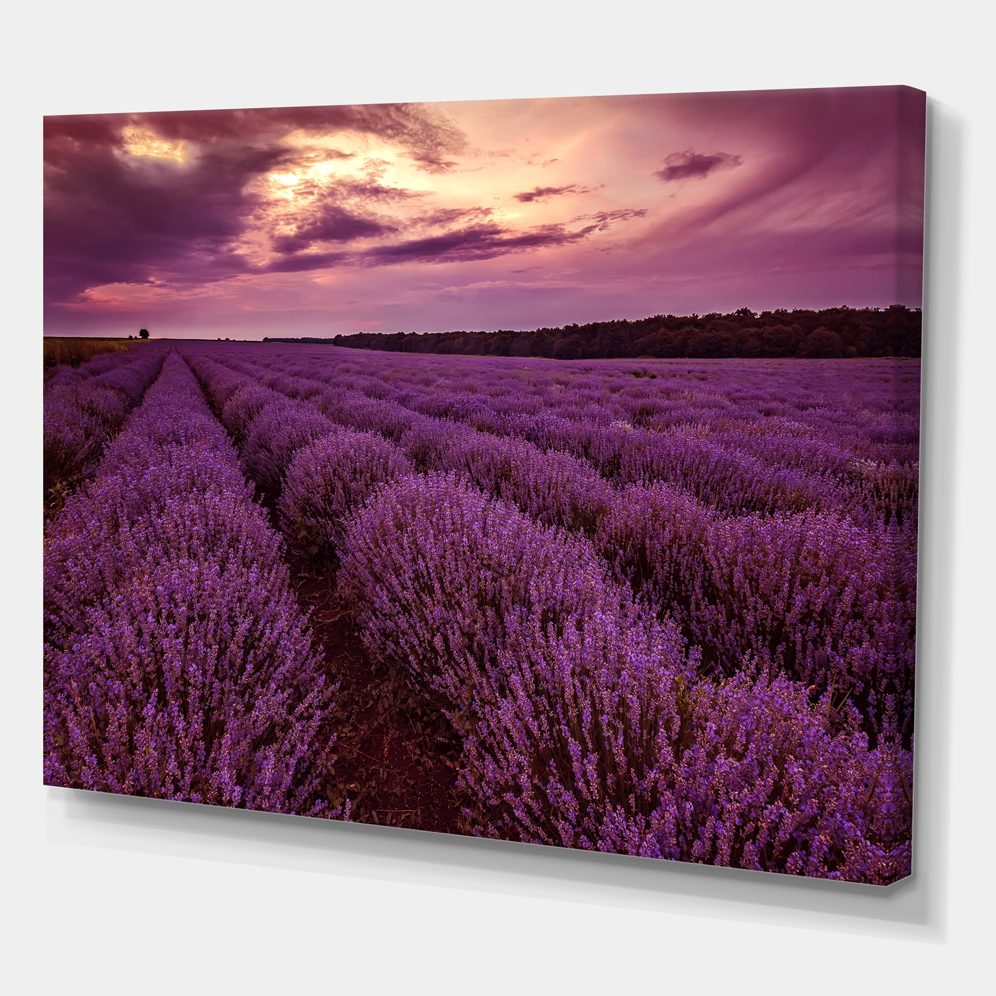 Designart ' Dramatic Clouds and Sunrise Over Lavender Field III ' Farmhouse Canvas Wall Art Print