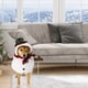 thumbnail image 1 of Teissuly Christmas Decor Pet Costumes Christmas Snowman Costumes Spooky Transformation Dog Clothes Cats Pet Costumes Teissuly WER202310165759, 1 of 5