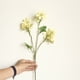 thumbnail image 1 of onlyliua Ofertas Del Día Orquídea Danzante y Flores Artificiales, Decoración Floral para El Hogar, Bodas y Fiestas., 1 of 2