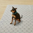 thumbnail image 6 of Better Homes & Gardens Geometric Machine Washable Indoor Area Rug, Ivory, 5'x7', 6 of 12