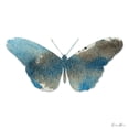 thumbnail image 3 of Brown, Denise 20x20 Black Modern Framed Museum Art Print Titled - Watercolor Wings 4, 3 of 5