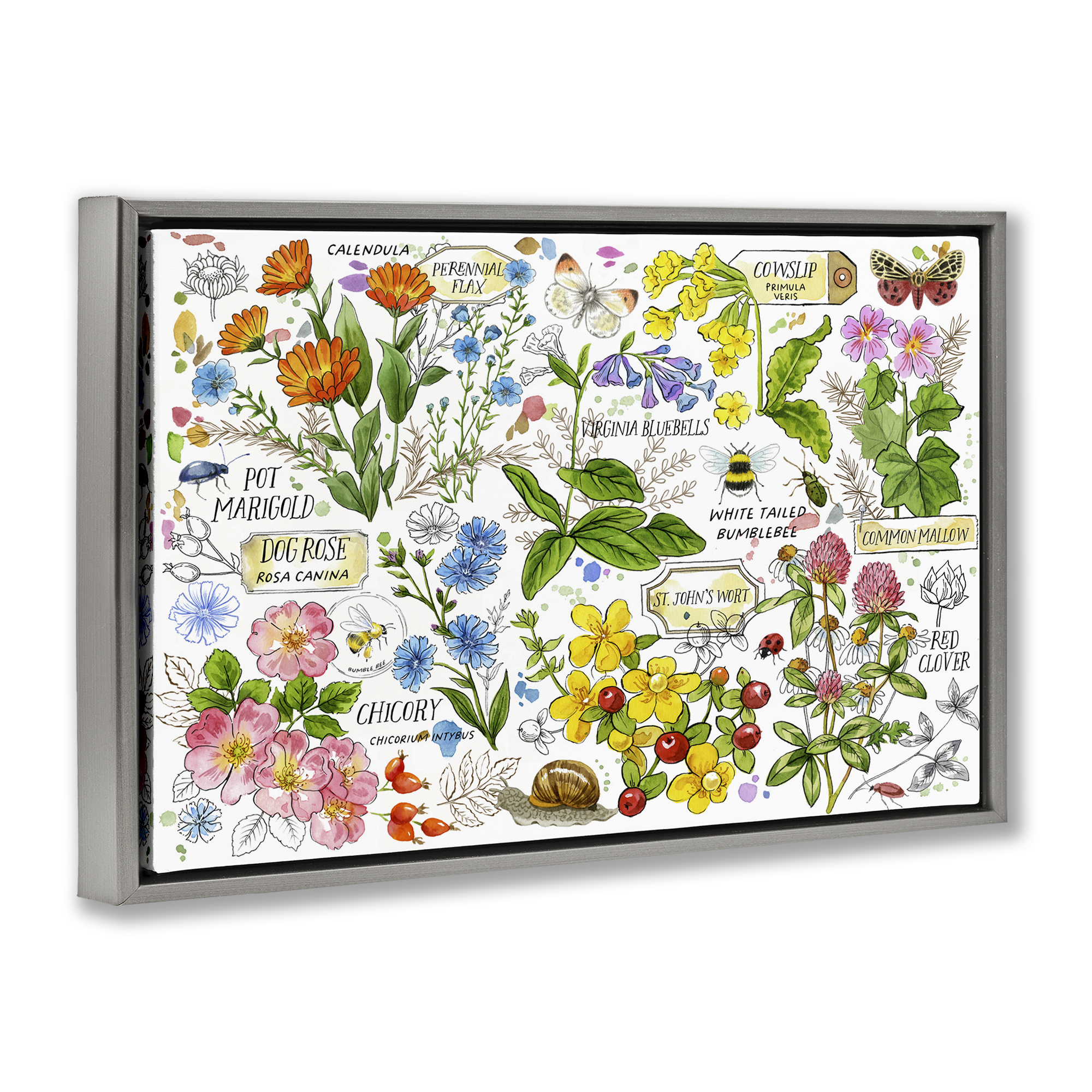 Stupell Industries Various Herbs Benefits Botanical & Floral Painting Gray Floater Framed Canvas Art Print Wall Art, 25 x 17