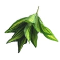 thumbnail image 3 of Artificial Zebra , 19.6" Zebra Leaf Spray, Aphelandra Squarrosa with Green & Yellow Stripes, Maintenance Free Greenery for Home Office Table Centerpiece, 3 of 7