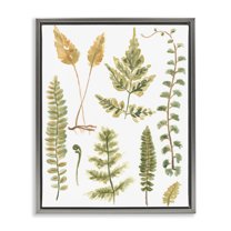Stupell Industries Varied Fern Leaves Botanical & Floral Painting Gray Floater Framed Art Print Wall Art, 25 x 31