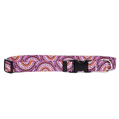 Yellow Dog Design One Size Fits All Radiance Purple Break Away Cat Collar, Null