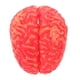 thumbnail image 2 of 1 pieza de juguete de Halloween, herramienta de broma, juguete de simulación, cerebro de sangre artificial para fiesta, festival, 2 of 8