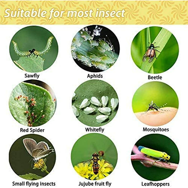 RuiKeHousehold Sticky Insect Flying Insect Trap Board Fly Catcher Sticky  Fly Trap Indoor/Outdoor/Kitchen Extremely Sticky Fly Trap Board benefit 