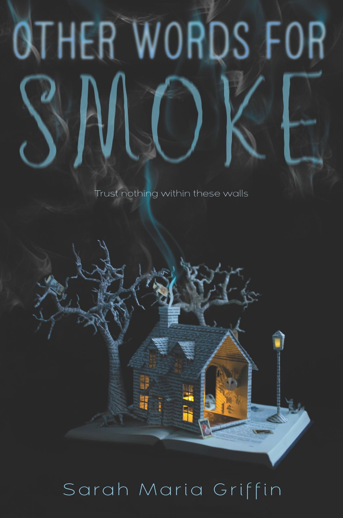 Other Words for Smoke eBook