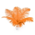 thumbnail image 1 of Plumas de avestruz, color naranja, 30-35 cm, 24 unidades, para manualidades, 1 of 6