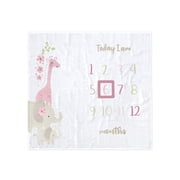 Gerber Baby Girl Milestone Blanket & Frame Set, 2-Piece, White Safari