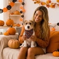 thumbnail image 2 of Halloween Dog Kitty Bandana for Small Medium Large Pets with Soft Flexible Slobber Scarf, Adjustable Neck Kerchief for Party Outfit by MPOISVA, 2 of 5
