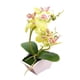 thumbnail image 2 of 2x Artificiales Bonsai Pntas En s Falsas Decoración De Oficina Con Jarrón púrpura perfecl Bonsai floral de orquídea sintética, 2 of 8