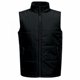 thumbnail image 1 of Regatta - Chaleco Forro Polar de Acolchado Access para Hombre (Negro), 1 of 2