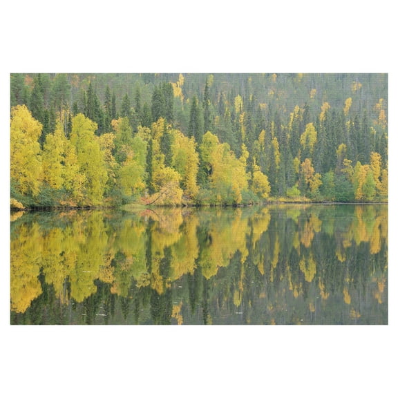 Mirrored Reflections by Staffan Widstrand Lakeview Landscape Canvas Art