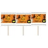 Happy Halloween Witch and Ghost Party Cupcake Picks -24pack