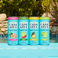 thumbnail image 2 of Casa Azul Playa Tequila Soda Variety Pack, 8 Pack, 12 oz Cans, 5% ABV, 2 of 8