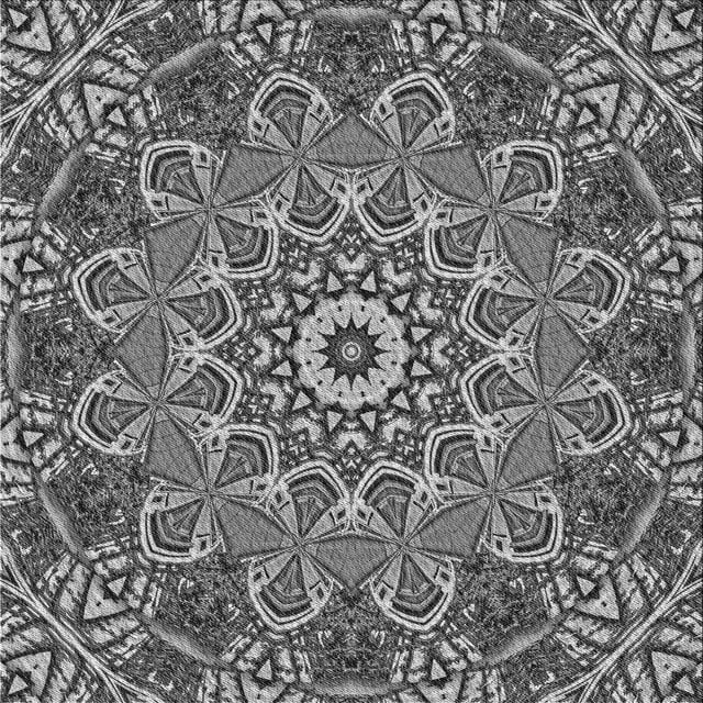 Ahgly Company Tapis d'Intérieur Lavable en Machine Carré Transitionnel Gris Foncé, 5 Pieds Carré