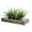 Weathered Gray, variant on 15 Inch Large Artificial Green Grass Plants in Premium Acacia Solid Wood Decorative Planter, Tabletop Faux Greenery Decor with Wooden Rectangular Container