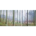 thumbnail image 2 of Autumn Tree Trunks Panorama - Oversized Forest Canvas Artwork, 2 of 3