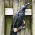 thumbnail image 2 of Estatua de resina de cuervo falso, escultura de cuervo de pájaro, cuervos al aire libre, decoración de Halloween creativa para jardín, patio, decoración de animales, 2 of 4